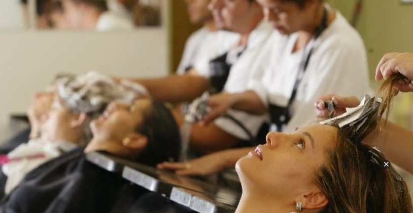 O improvável setor que ganhou espaço na carteira da Bradesco Seguros