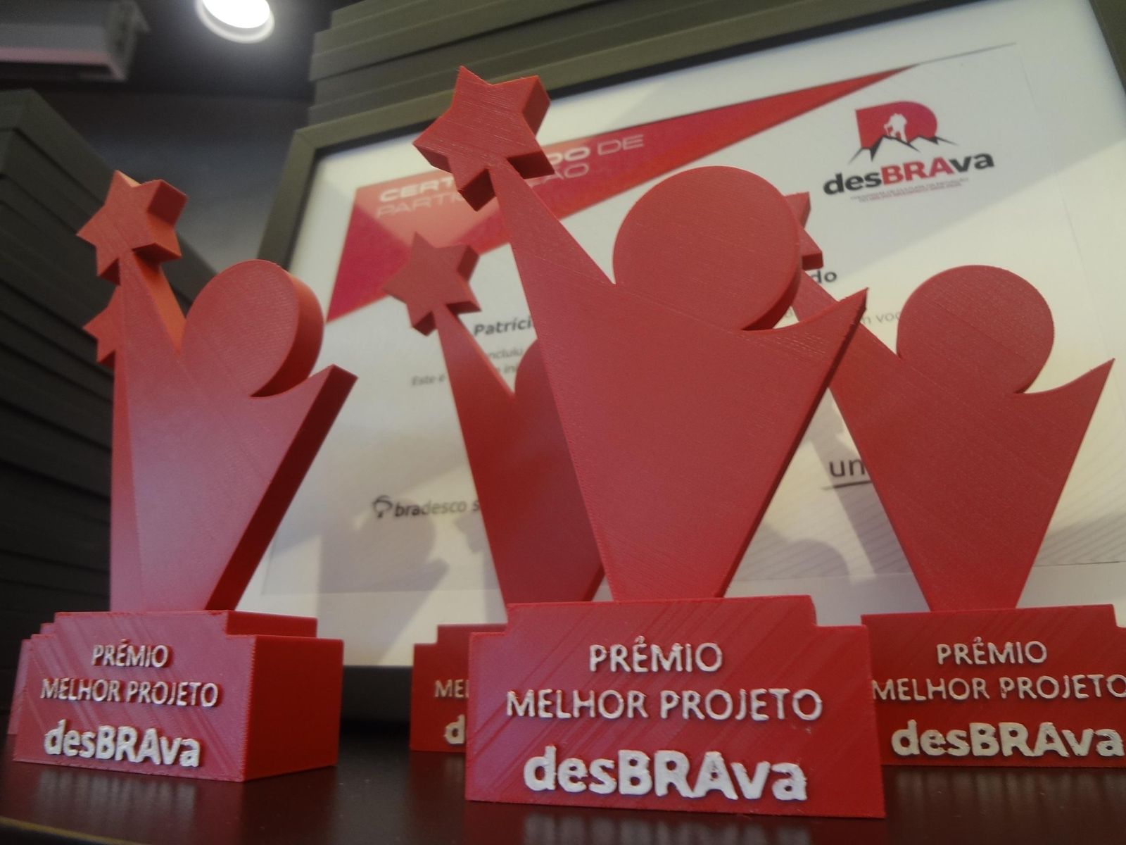 Grupo Bradesco Seguros realiza edição do programa DesBRAva