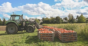 Setor de Seguros cresce no agronegócio