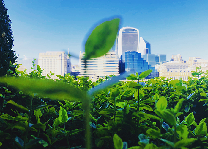 Estudo registra queda drástica em resiliência social do Brasil e acende alerta para investidores