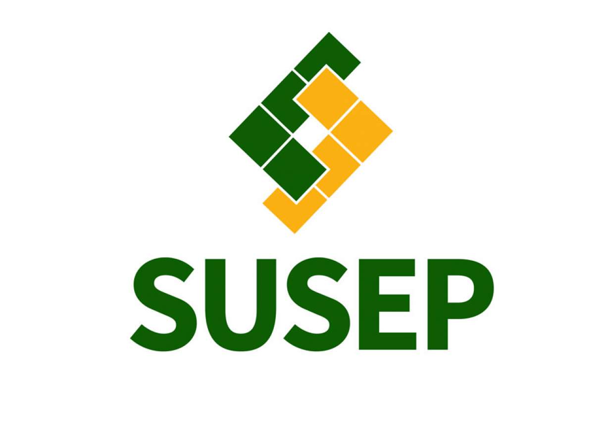 Susep e Setor Segurador se reúnem para implementar ações de curto e médio prazos para enchentes no país