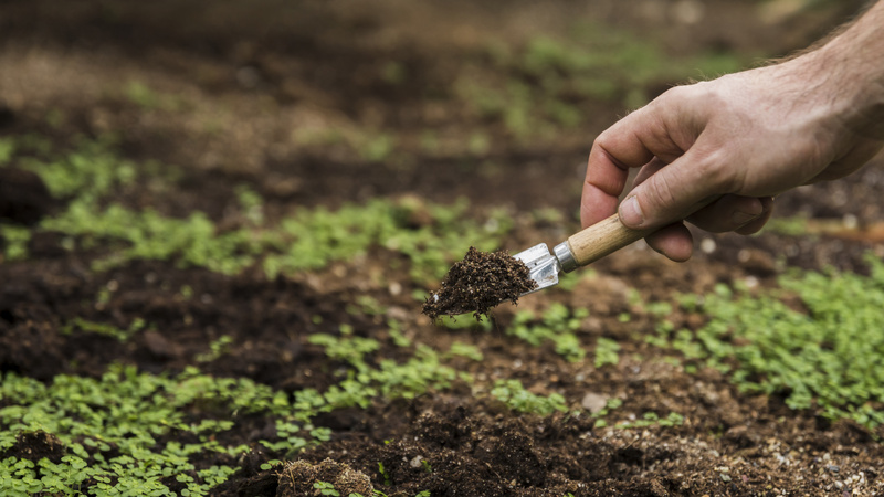 Guerra no Oriente Médio pressiona custos e pode impactar a precificação do seguro rural no Brasil